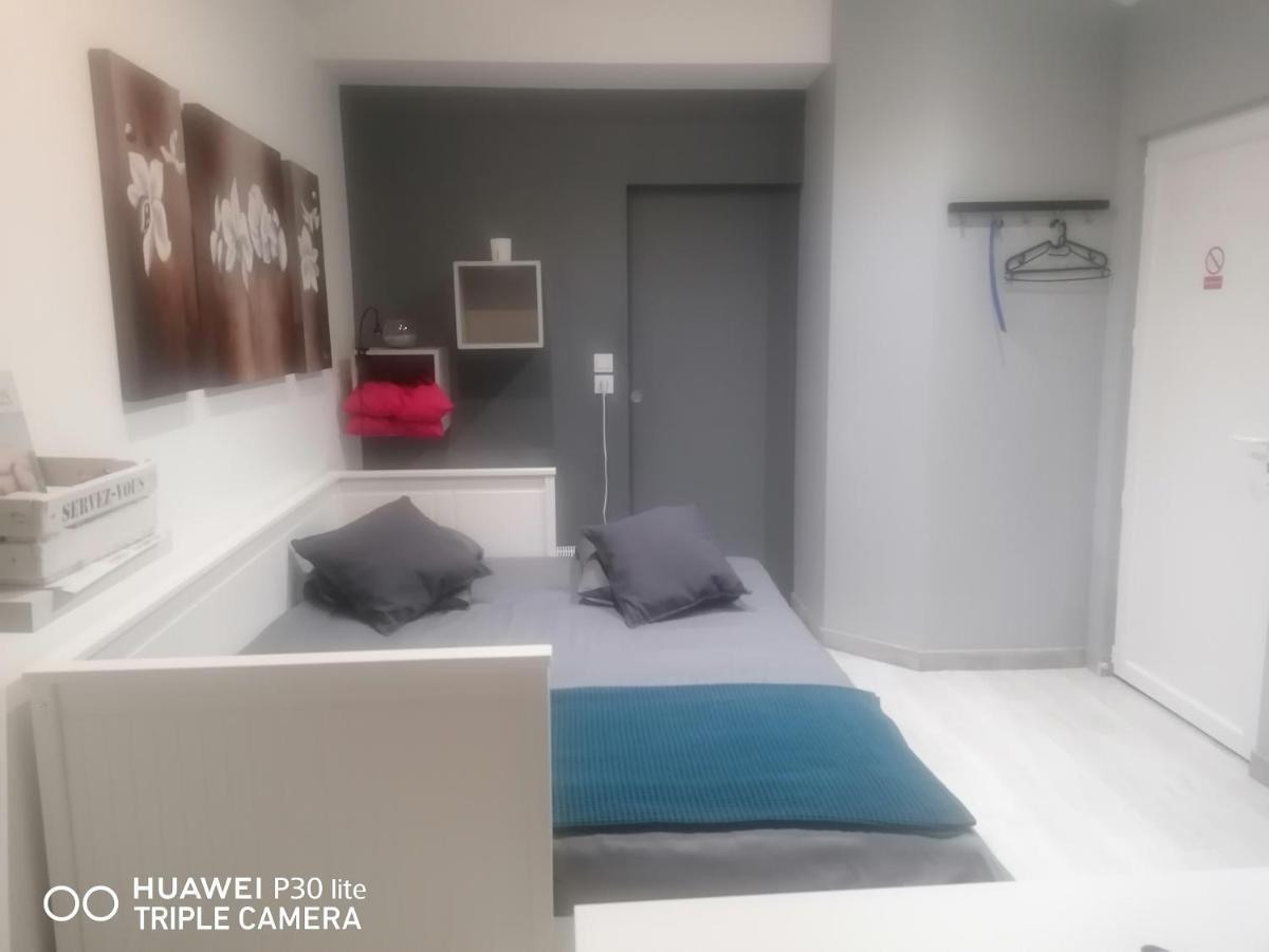 Petit Nid Douillet Apartment Reventin-Vaugris Exterior photo